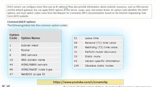 What are DHCP Options [upl. by Ettegroeg]