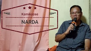 Narda Kamikazee cover song [upl. by Ennovahs]