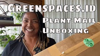 Greenspacesid Rare Plant Haul Unboxing amp Plant Import tips Plant Mail Beautiful Variegated Plants [upl. by Plantagenet]