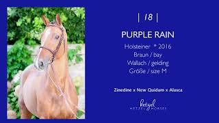 18  Purple Rain Zinedine x New Quidam x Alasca  Holger Hetzel Sport Horse Sales 2024 [upl. by Novled]