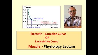 Physiology l Excitability Curve or Strength –Duration Curve l Muscle Physiology [upl. by Joey]