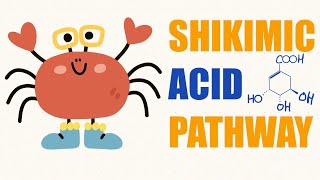 Shikimic acid pathway  pharmacognosy 1 [upl. by Medea623]