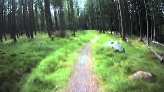 Laggan Wolftrax Downhill Mountain Biking the Green Route [upl. by Colon]