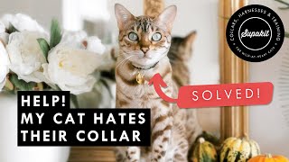 Help My Cat Hates Their Collar [upl. by Harmon845]