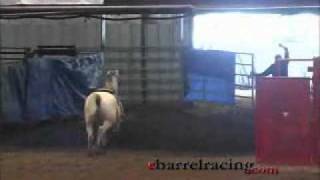 horse doing barrel racing riderless [upl. by Scheers]