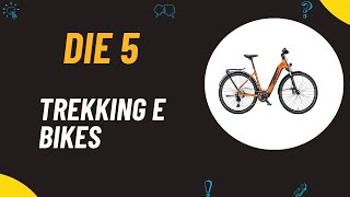 Die 5 Besten Trekking E Bikes Test 2024  Top 5 Trekking E Bikes Vergleich [upl. by Namqul]