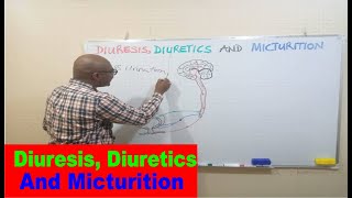 Diuresis Diuretics and Micturition [upl. by Addis803]