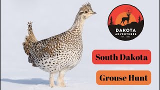 South Dakota Grouse hunt 2023 [upl. by Nomead]