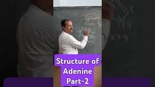 What is Adenine Structure of Adenine Structure of DNA [upl. by Edita]