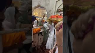 4th November 2024 Gurudwara Sri Dukhniwaran Sahib Ji PATIALA [upl. by Tutt]