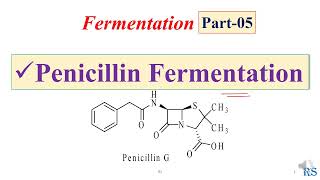 106 Fermentation of Penicillin  Microbial Production of Penicillin Antibiotic [upl. by Yendirb]