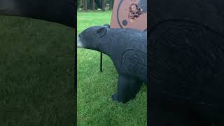 New 3D Target Rinehart Black Bear [upl. by Ellenwahs]