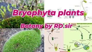 bryophyta plants ☘️ rd sir neet [upl. by Anassor]