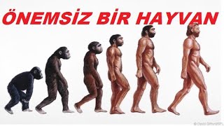 ÖNEMSİZ BİR HAYVAN SESLİ KİTAP [upl. by Nelyak]