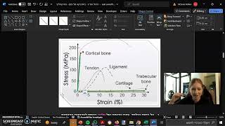 StressStrain  Cortical vs Trabecular bone [upl. by Hueston]