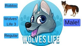 Roblox  Wolves Life 3  Regular Male Wolf Ideas [upl. by Ahsenac438]