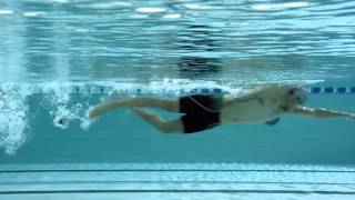 Get Speedo Fit  Florent Manaudou  Crawl Mouvement des bras [upl. by Khoury]