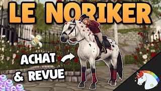 LE NORIKER  UN BOULE QUI CHAMBOULE 🤣  Star Stable Online [upl. by Perretta933]