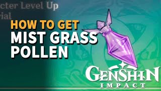 How To Get Mist Grass Pollen in Genshin Impact [upl. by Eanat571]