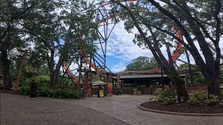 Tigris Busch Gardens tampa Full roller coaster Onride 2024 [upl. by Dawna]