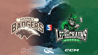 Honey Badgers V Leprechauns  Div 5  25th July  IceHQ Beer League ice hockey [upl. by Aneez746]