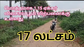 17 லட்சம் மொத்தமாக 115 ஏக்கர் விவசாய பூமி விற்பனைக்கு Agriland for Sale  GK Housing Properties [upl. by Gascony]