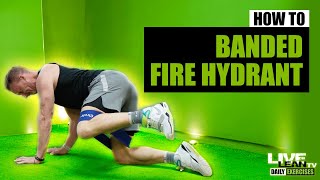 How To Do The BANDED FIRE HYDRANT EXERCISE  Exercise Demonstration Video and Guide [upl. by Amesari]