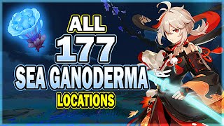 All 177 Sea Ganoderma Locations  Efficient Farming Route  Yae Miko amp Kazuha Ascension Material [upl. by Enrika]