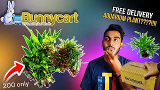 How to Buy Aquarium Plants Online  Bunnycartcom  Online Aquarium Plants  Underwater Plants [upl. by Camm895]