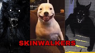 SKINWALKER COMPILATION‼️‼️ [upl. by Sucramaj282]