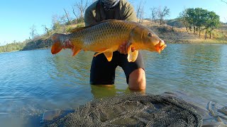 Early Summer Carp Campaign Quest for a 20lbs Carp Lake Berryessa [upl. by Amedeo]