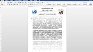 Guia para los Nuevos Delegados Documento de Postura [upl. by Alaj356]