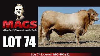 Lot 74 Lamont MG 400 S [upl. by Sisile]