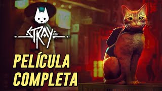 Stray  Película Completa en Español Latino [upl. by Annid456]