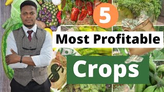 MOST PROFITABLE CROPS 2022 five most profitable crops profitable crops top crops Nigeria farms [upl. by Naquin760]