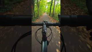 Bergab ist immer Geil  wald forest gravelbike gravel gravellife downhill [upl. by Gitel416]