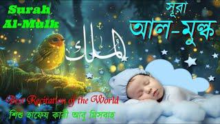 সবচেয়ে সেরা কন্ঠে  সূরা আলমুলক  surah mulk  الملك  surah mulk beautiful recitation by misbah [upl. by Aynna]