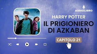 21 Harry Potter e IL PRIGIONIERO DI AZKABAN volume 3 Audiolibro  IL SEGRETO DI HERMIONE [upl. by Fondea]