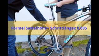 Fahrradsattel richtig einstellen [upl. by Bernj453]