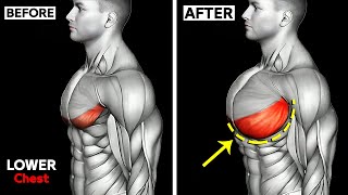 THE ONLY 10 Lower Chest Exercises You Need 🔥 [upl. by Chaney133]