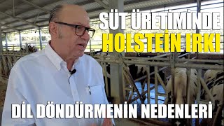 Süt Üretiminde Holstein Irkı  Dil Döndürmenin Nedenleri [upl. by Attenyt]