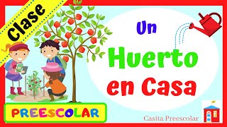 UN HUERTO EN CASA Aprendeencasa PREESCOLAR [upl. by Jude]