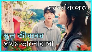 All episode Twenty Five Twenty One Kdrama Explained In Bangla  New Kdrama Explained bangla [upl. by Berkin]