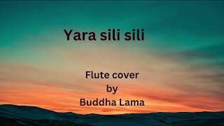 Yara sili sili flute cover [upl. by Maibach]