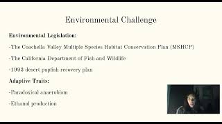 Desert Pupfish Homeostasis Challenge [upl. by Latoye]