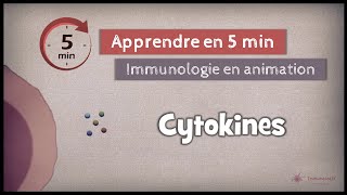 161 ◽ Introduction aux cytokines [upl. by Ever]