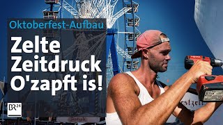 Härtetest OktoberfestAufbau in 10 Wochen zur fertigen Wiesn  Abendschau Reportage  BR24 [upl. by Swainson453]