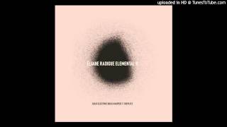 Eliane Radigue  Elemental II Part 22 [upl. by Shandy186]