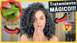 🤩Tratamiento de SÁBILA ALOE VERA🌵 MUY FÁCIL y EFECTIVO para un Cabello Rizado SALUDABLE y HERMOSO😍 [upl. by Esaj244]