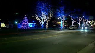 Solvang Christmas tree lit for the holidays [upl. by Ahsatin]